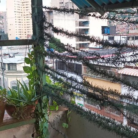 Hotel Don Gato كراكاس المظهر الخارجي الصورة